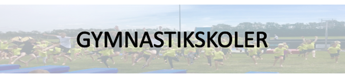 Gymnastikskole i SHI 2017. Tre dage med rytme,spring, leg og fællesskab.